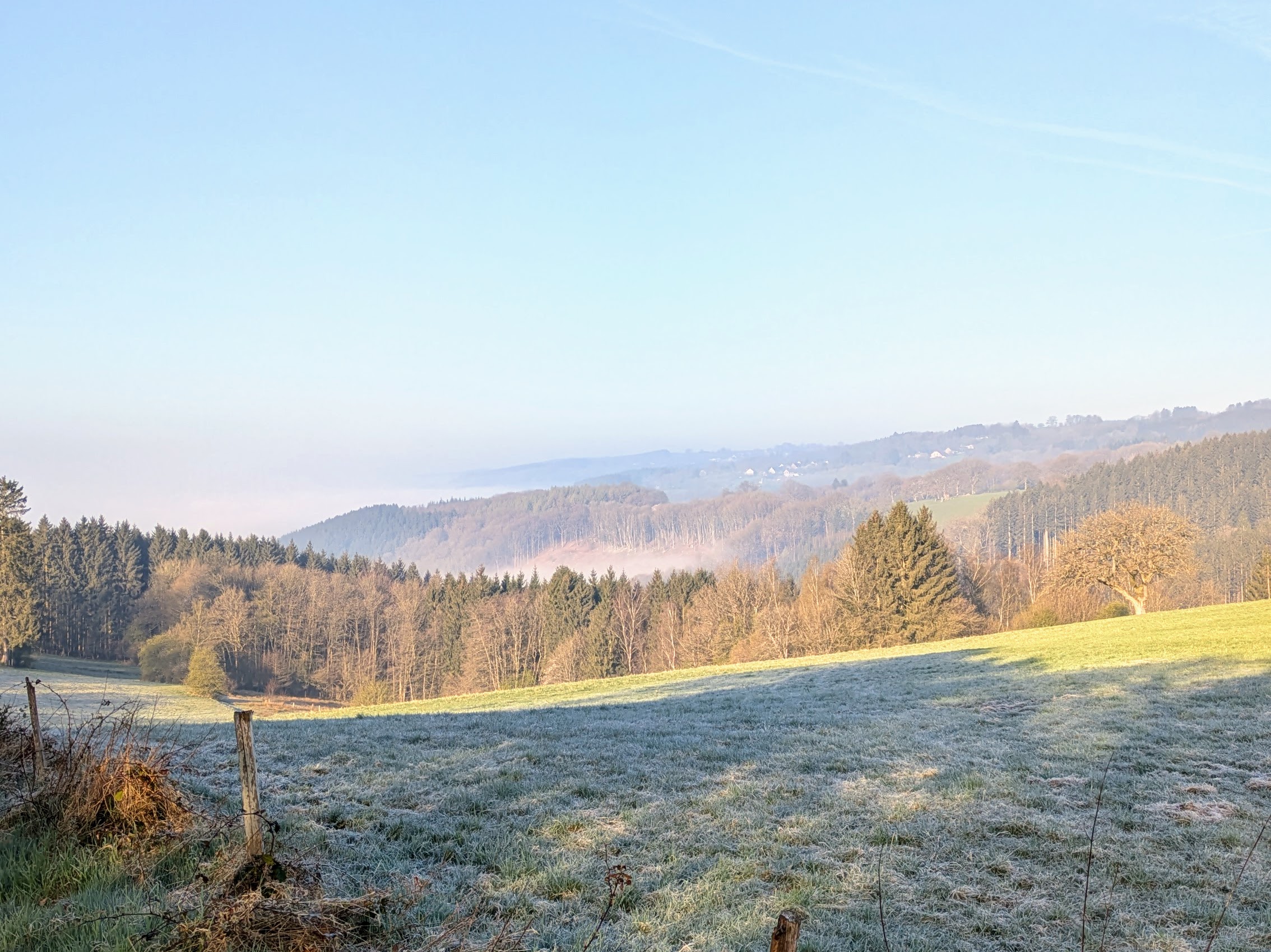 Blog post illustration